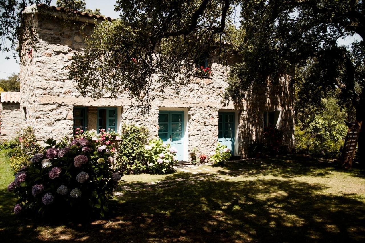 Agriturismo Casteddu Padru Exterior photo