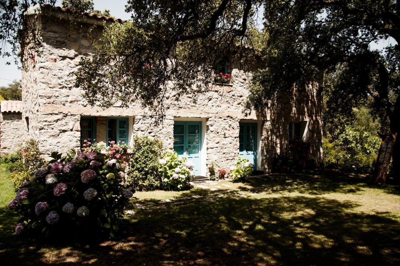 Agriturismo Casteddu Villa Padru Exterior photo