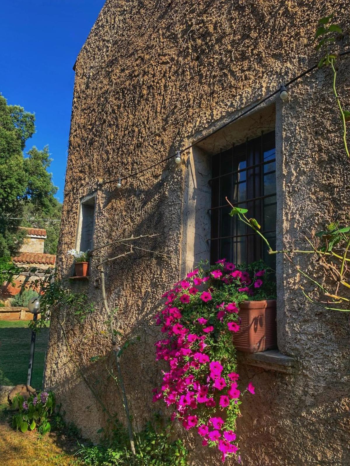 Agriturismo Casteddu Padru Exterior photo