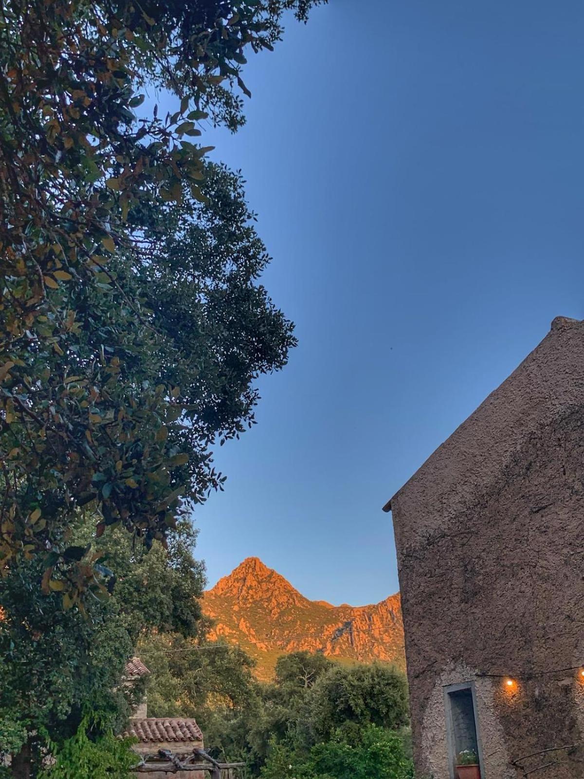 Agriturismo Casteddu Padru Exterior photo