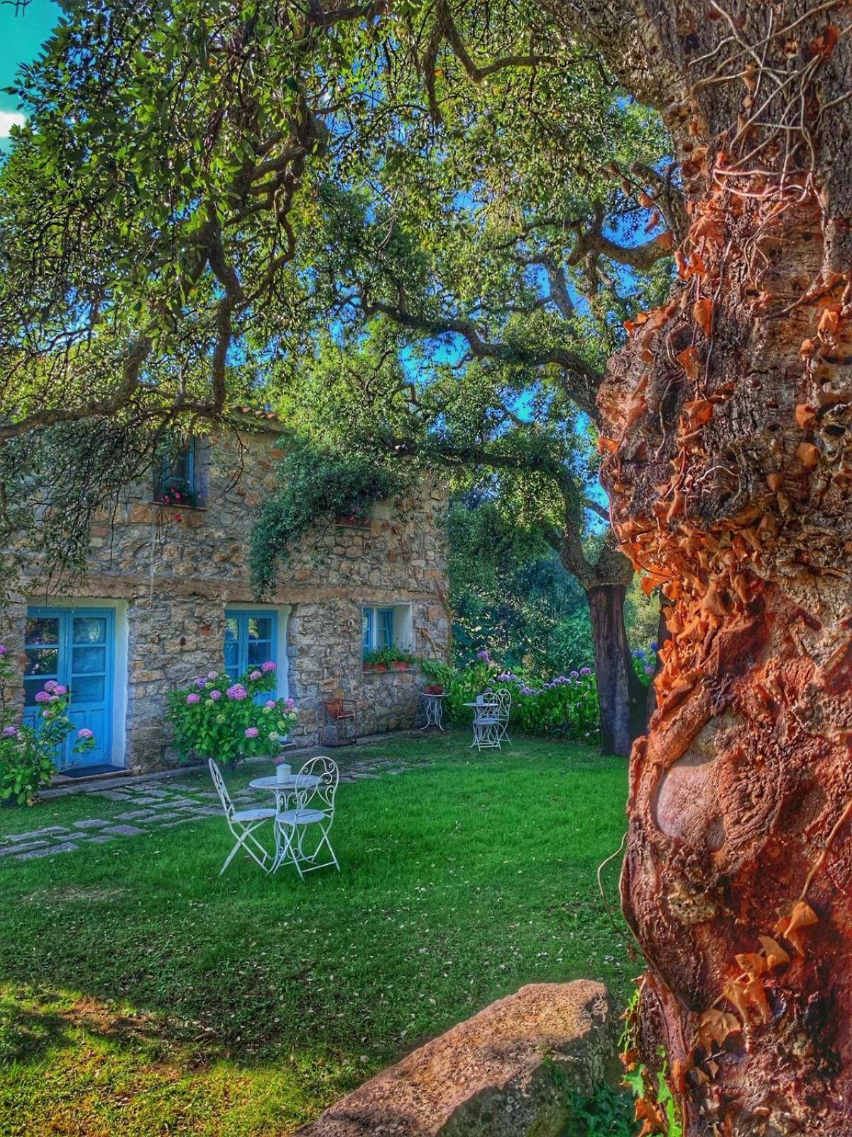 Agriturismo Casteddu Padru Exterior photo